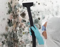 Mold Remediation for Vacation Homes in Macdonnell Heights, NY